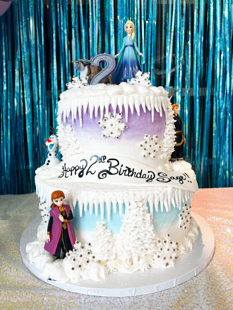 Frozen birthday party 