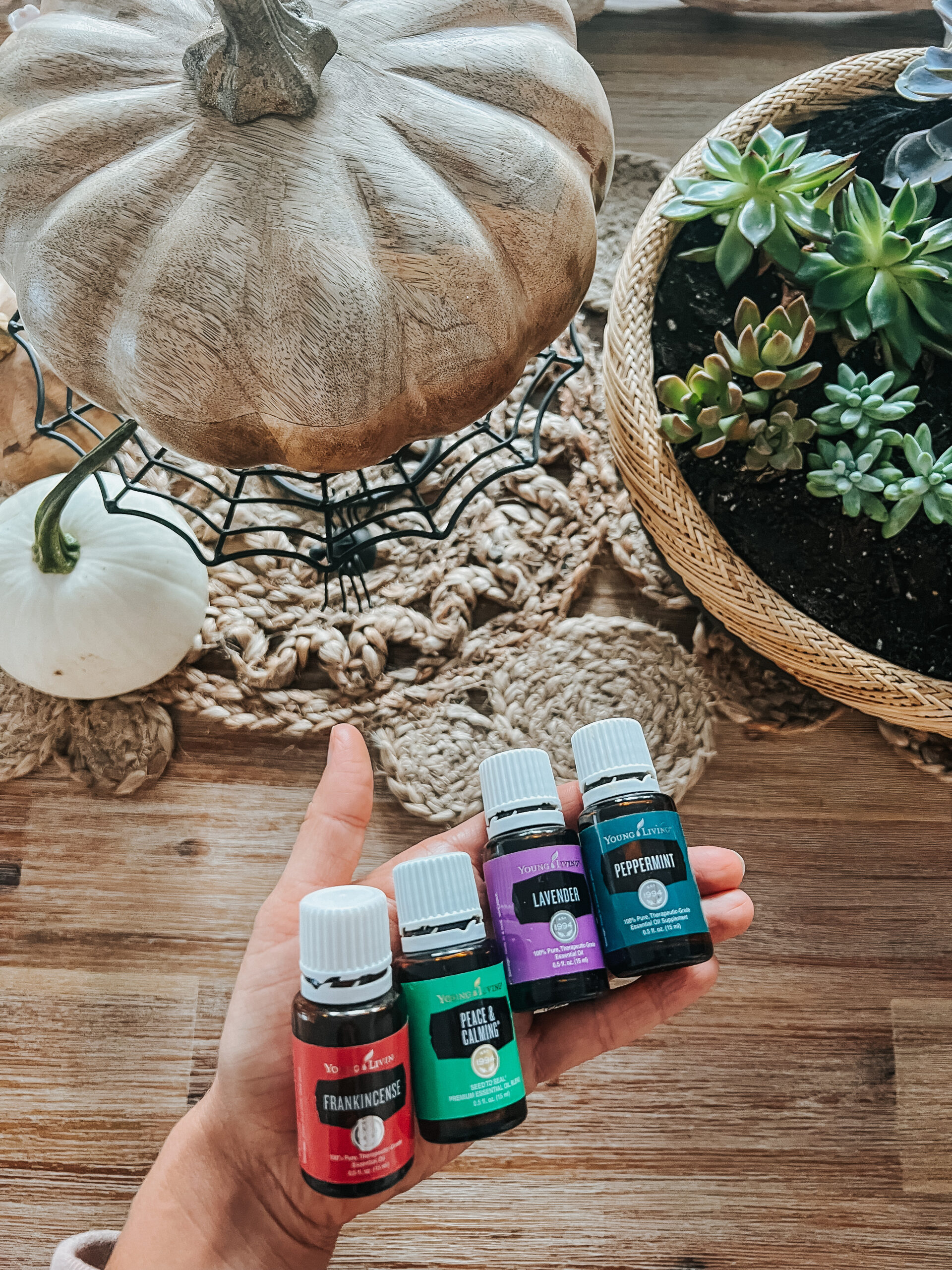 The Dreamiest Fall Essential Oil Diffuser Blends for Your Home ...